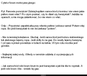 cytat z forum.png