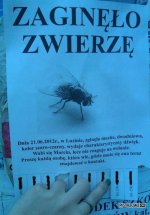 C__Data_Users_DefApps_AppData_INTERNETEXPLORER_Temp_Saved Images_1340918370_by_Nonxiss_500.jpg