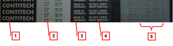 rys4.png