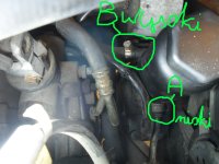 PĄPA WSPOMAGANIA PĄPA WSPOMAGANIA.JPG