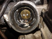 20161008_162817.jpg