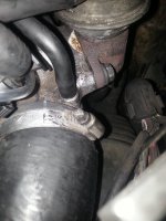 20161125_071913.jpg