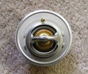 1 termo.jpg
