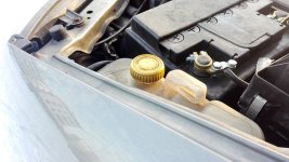 IMG_20170117_145851.jpg