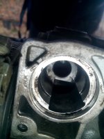 gniazdo.jpg gniazdo.jpg