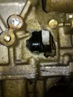 IMG_20170513_100043.jpg