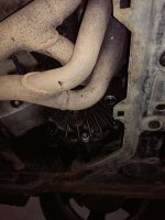 IMG_20170613_172951.jpg