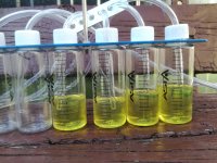 IMG_20170814_173948_1.jpg