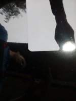 IMG_20170901_161206.jpg IMG_20170901_161206.jpg