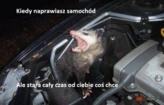 d1c83a514cafc64c95ec4f15e5a74ada.jpg