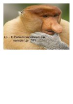 img0.jpg img0.jpg