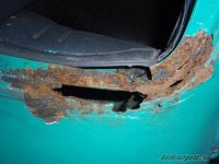 bikepics-2729992-800.jpg