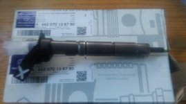 IMAG0681.jpg