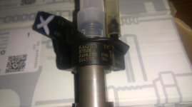 IMAG0684.jpg