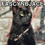 58780_zaiste-fascynujace.gif 58780_zaiste-fascynujace.gif
