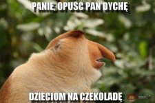 comment_2Vq8LBrQcvvJ3ppygtovQtIpokkPWoxr.jpg