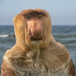 comment_6vJBZppbWDRxmxAEYBvpwhXKmXpZAZkF,w400.jpg
