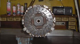 CIMG8528 m.JPG