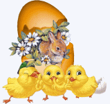 IMG_3810.gif