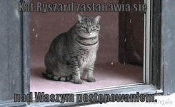 foto_43b3008d5c01f9ba5c361017fd2002f2.gif