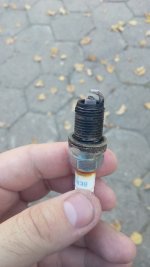 IMG_20181016_160313.jpg