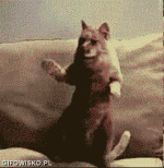 1308915733_by_dominic777.gif
