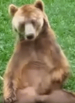 mis.avi.gif