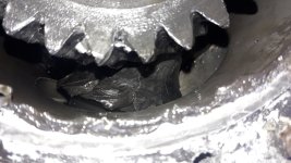 20190522_115737.jpg