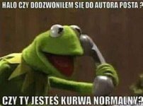 kermit.jpg kermit.jpg