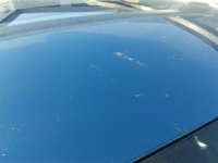 20190726_171934.jpg