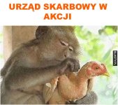 urzad-skarbowy-w-akcji_2016-12-11_03-32-55.jpg urzad-skarbowy-w-akcji_2016-12-11_03-32-55.jpg