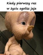 kiedy_pierwszy_raz_w_zyciu_ogolisz_jaja_29421.jpg