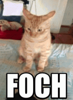 2072-foch.gif 2072-foch.gif