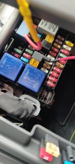 IMG_20200223_095232.jpg