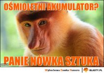 osmioletni-akumulator_2018-11-04_10-52-53.jpg osmioletni-akumulator_2018-11-04_10-52-53.jpg