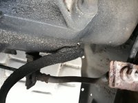 20200415_173853.jpg 20200415_173853.jpg