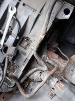 20200415_173838.jpg 20200415_173838.jpg