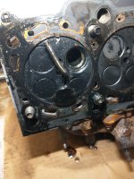 IMG_20200925_085034250.jpg