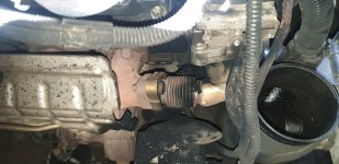 20201003_125211.jpg