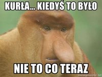 kura-kiedy-to-byo-nie-to-co-teraz.jpg kura-kiedy-to-byo-nie-to-co-teraz.jpg