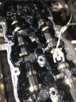 IMG_20201022_141915239.jpg