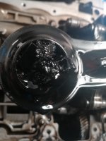 IMG_20201119_140939.jpg