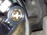 20201206_125359.jpg