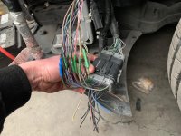 131075008_424188731947126_7836907445576366533_n (1).jpg