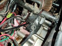 IMG_20201221_174656.jpg IMG_20201221_174656.jpg