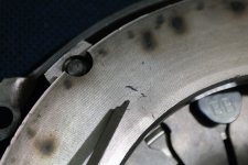 SAM_4185 (Duży).JPG