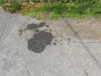 20200617_135504.jpg 20200617_135504.jpg