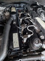 20200402_142508.jpg 20200402_142508.jpg