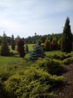 DSC_0127 mały.JPG DSC_0127 mały.JPG