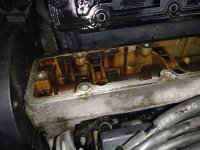 IMG_20210710_175303.jpg